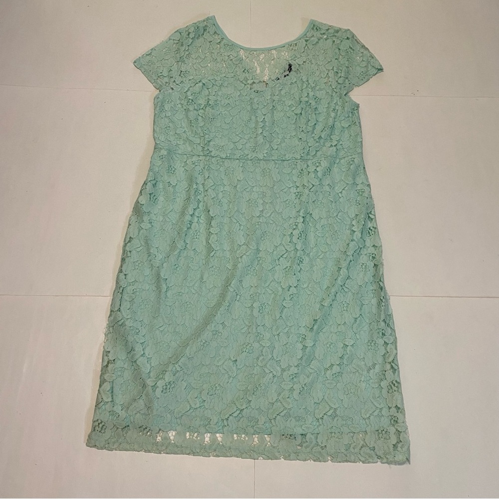 NWT! Dorothy Perkins mint green lace dress. Size 16